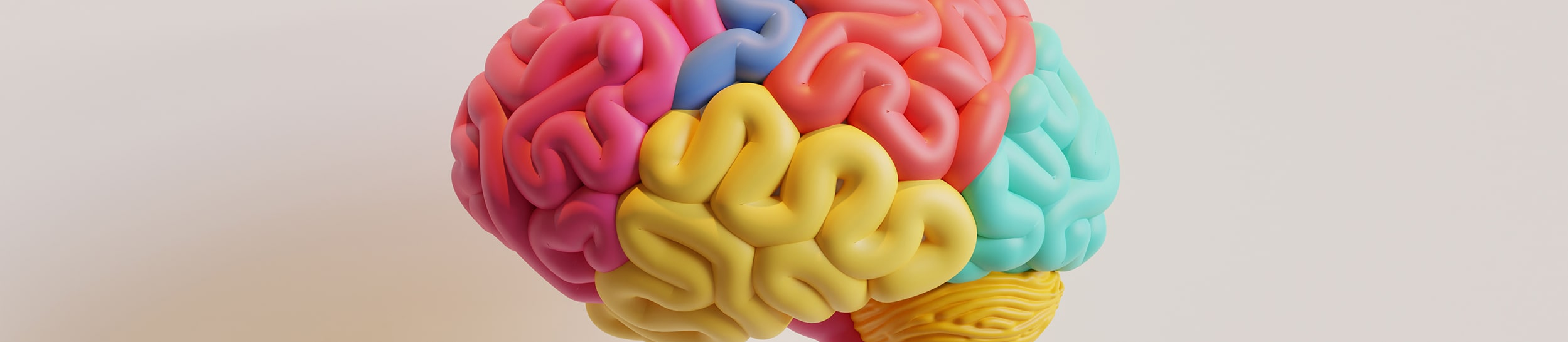 Ouderavond Puberbrein